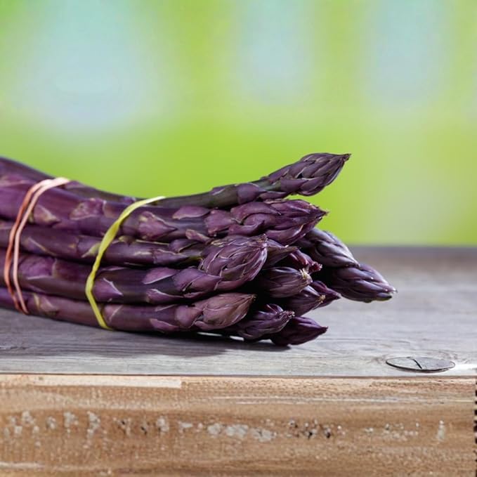 Purple Asparagus