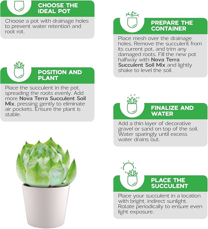 Succulent Soil