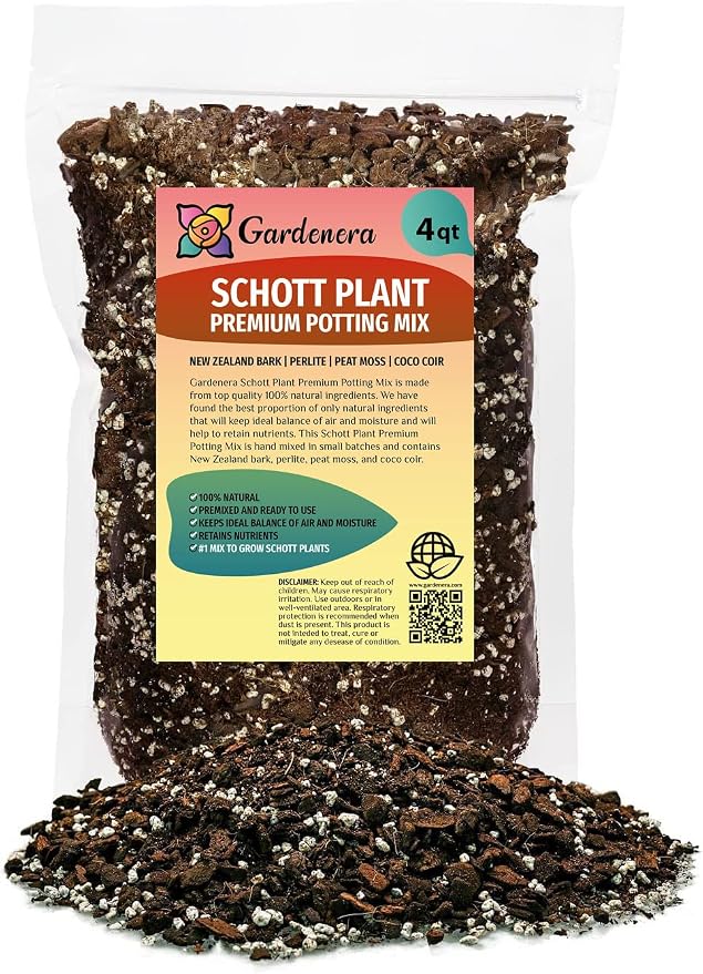 Monstera Lechleriana Schott Soil Mix
