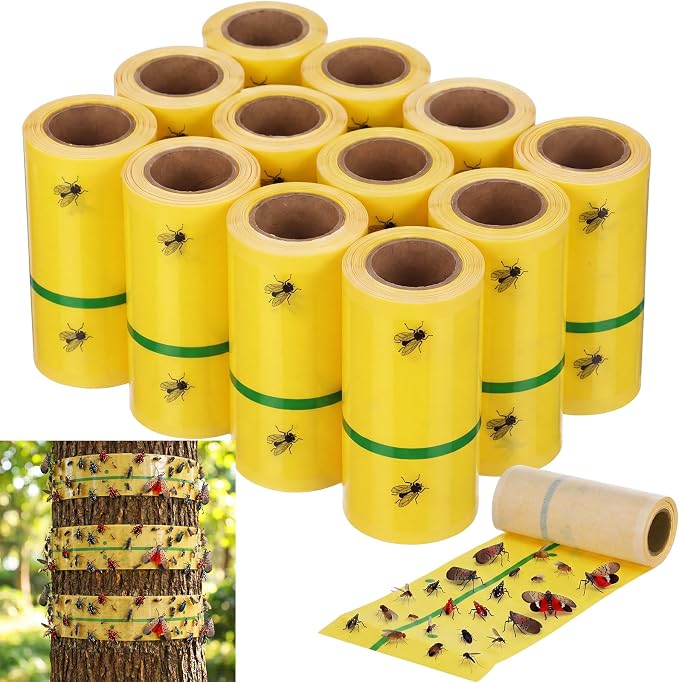 Yellow and Green