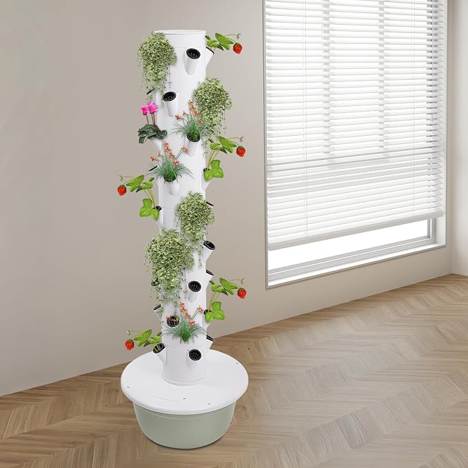 36-plant, Green