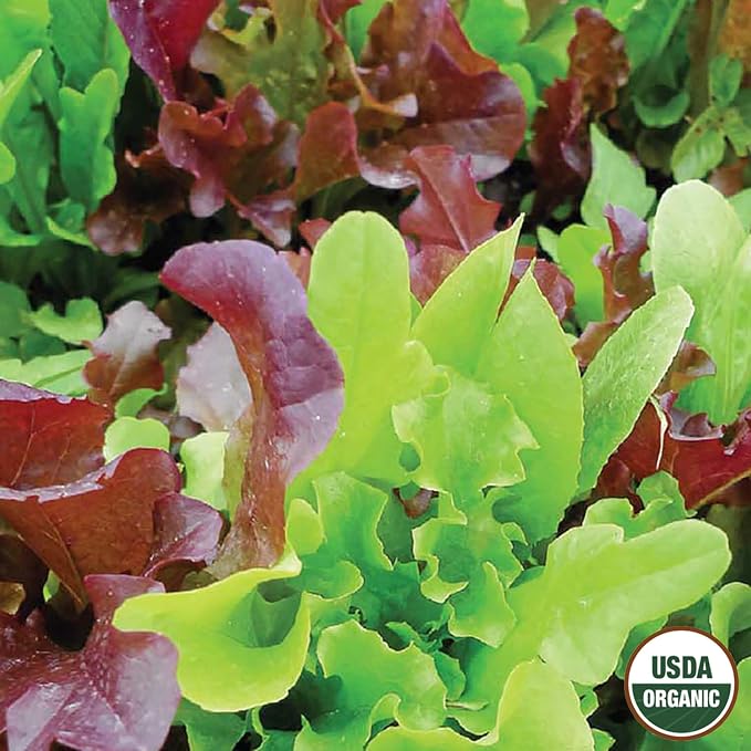 Lettuce Gourmet Blend Organic Seed Multipack - 7 Pack