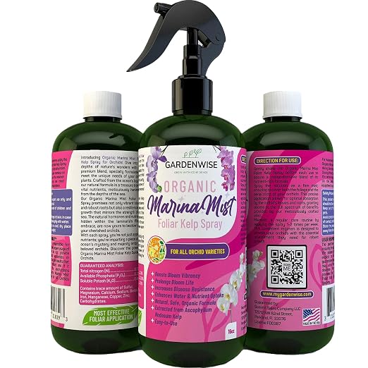 Marina Mist Orchid Spray