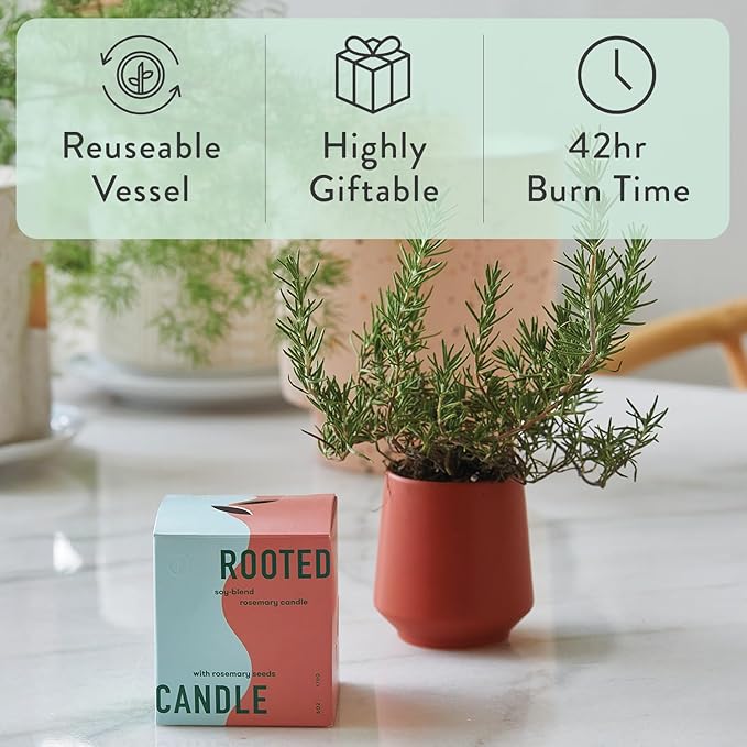 2-Pack Rosemary & Cucumber