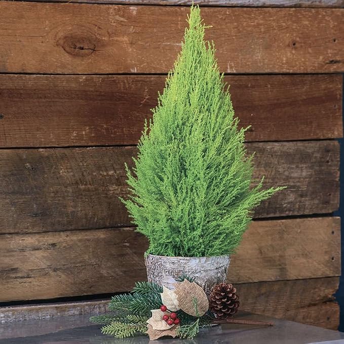 cypress-lemon