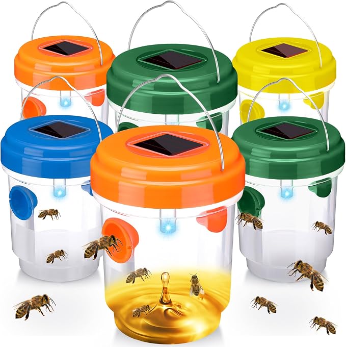 Orange, Green, Yellow, Blue