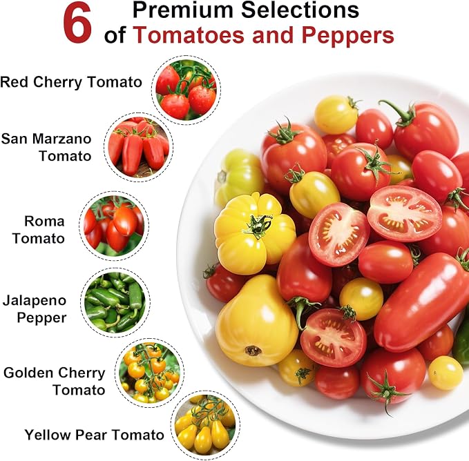 Tomato