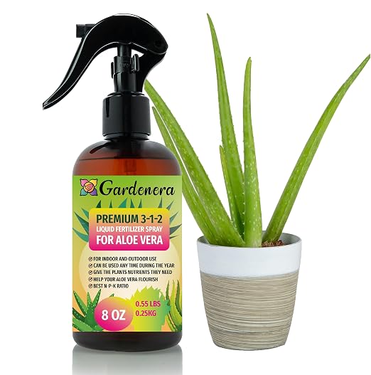 ALOE VERA