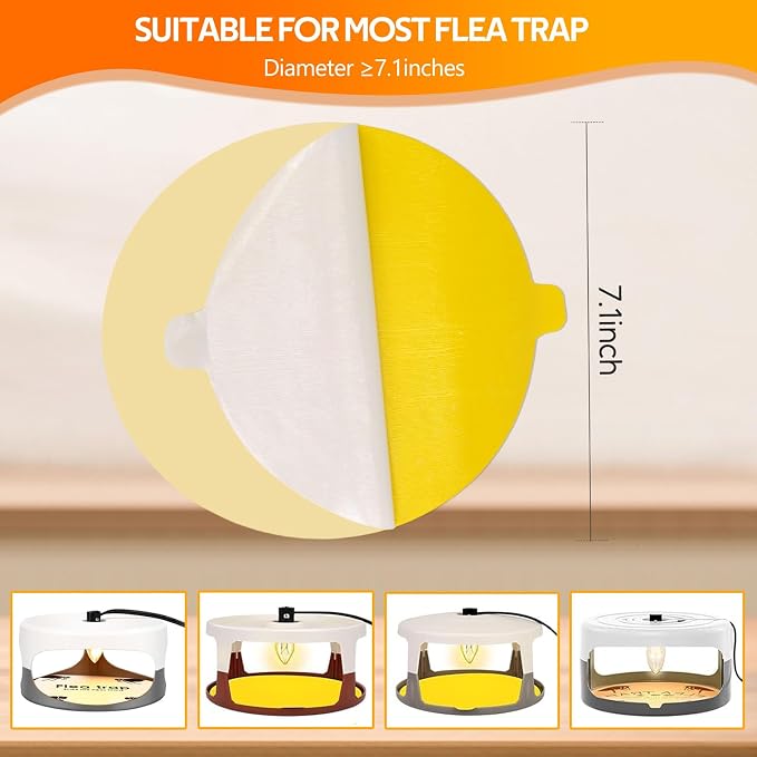 Yellow 20 Refills