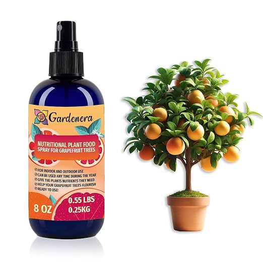 Best for 𝐆𝐑𝐀𝐏𝐄𝐅𝐑𝐔𝐈𝐓𝐒