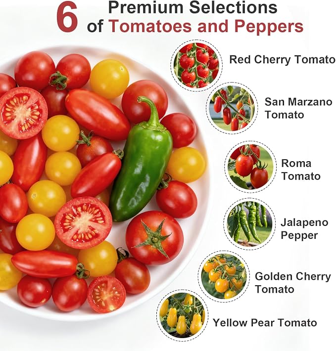 tomato