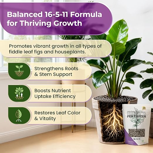 Fiddle Leaf Fig Fertilzer (16-5-11 Pellets)