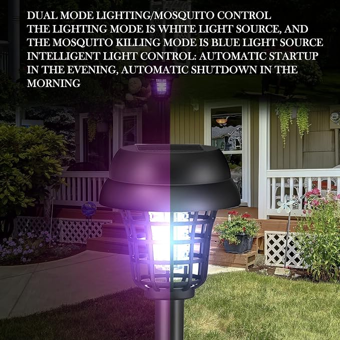 Retro Black Exterior,Purple, White Light