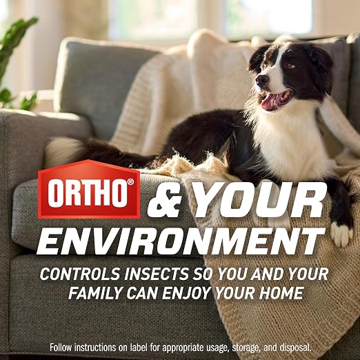 Indoor Light Trap