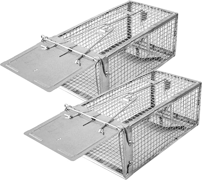 Small(Set of 2)