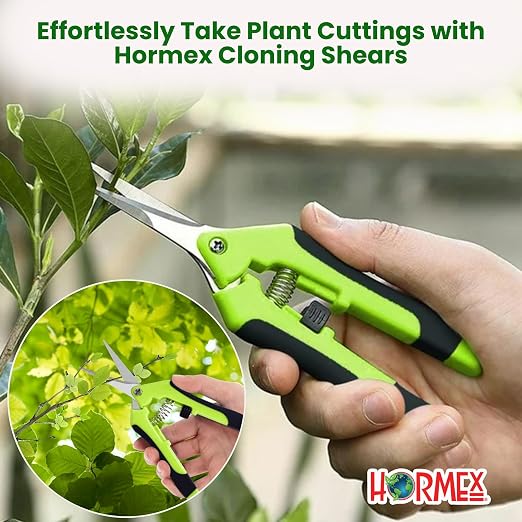 F) Rooting Cubes, Shears & Powder #1