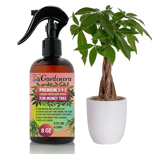 MONEY TREE