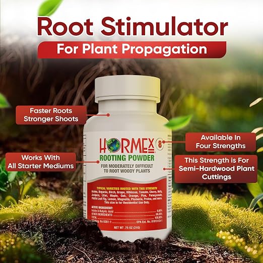 H) Rooting Cubes, Shears & Powder #8