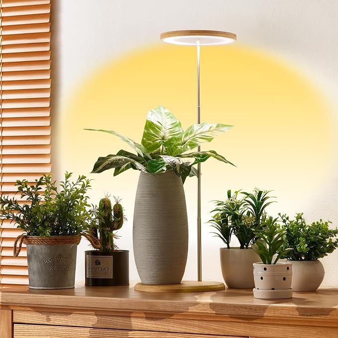 Bamboo with Base