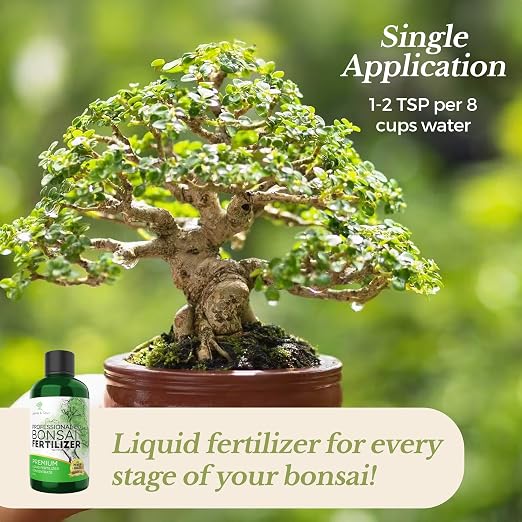 Bonsai