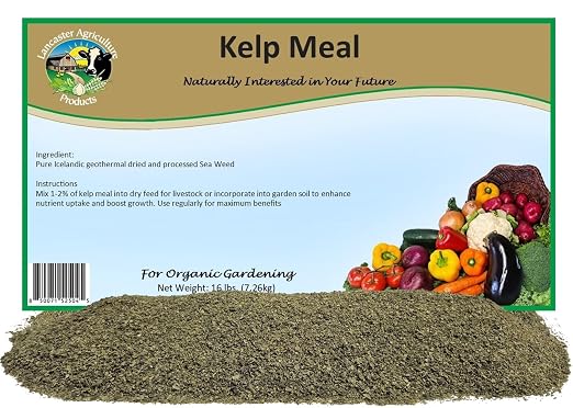 Kelp Meal