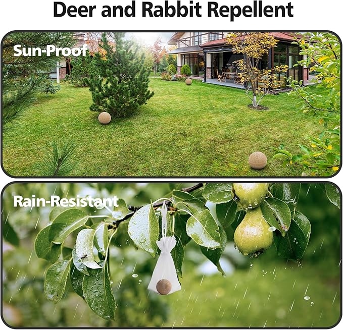 Brown-deer