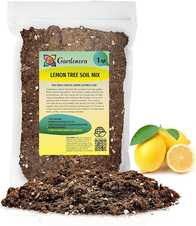 LEMON TREE