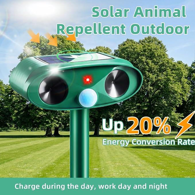 __DEFAULT__