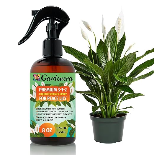 PEACE LILY