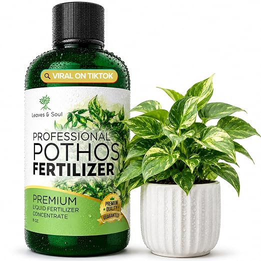Pothos