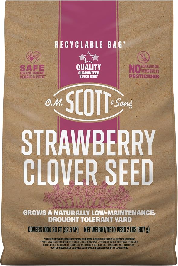 Stawberry Clover (Pack of 6)