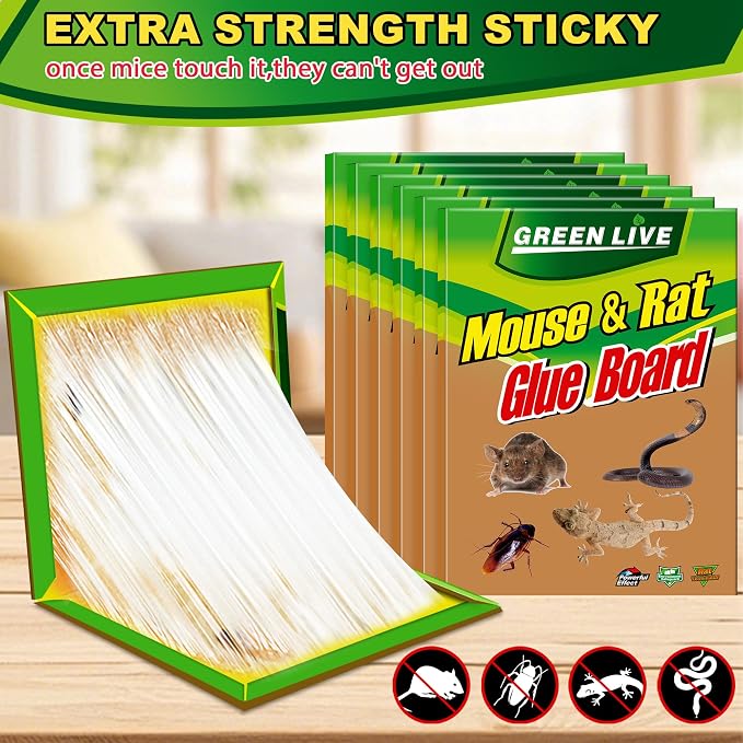 green-6pack