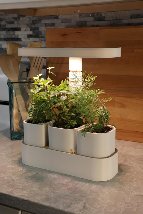 Good Root; Tabletop Planter; White; Dark Oak