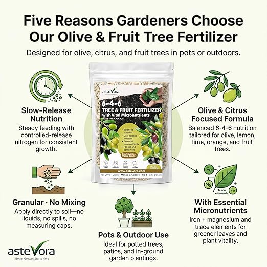 Olive Tree Fertilizer