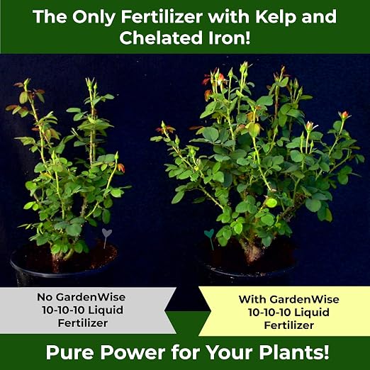 10-10-10 Liquid Fertilizer