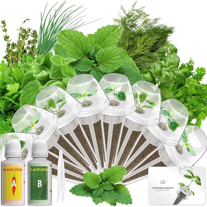 Herb