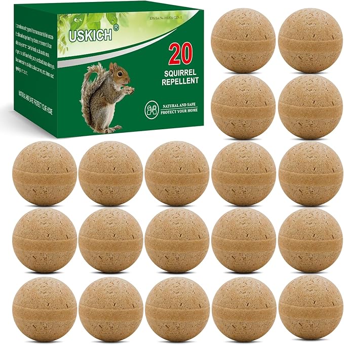 Brown-squirrel