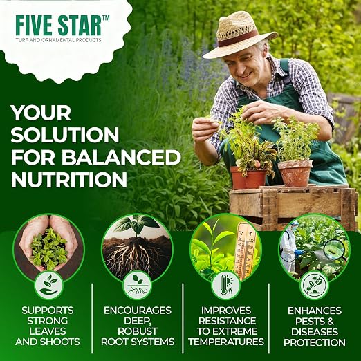 __DEFAULT__