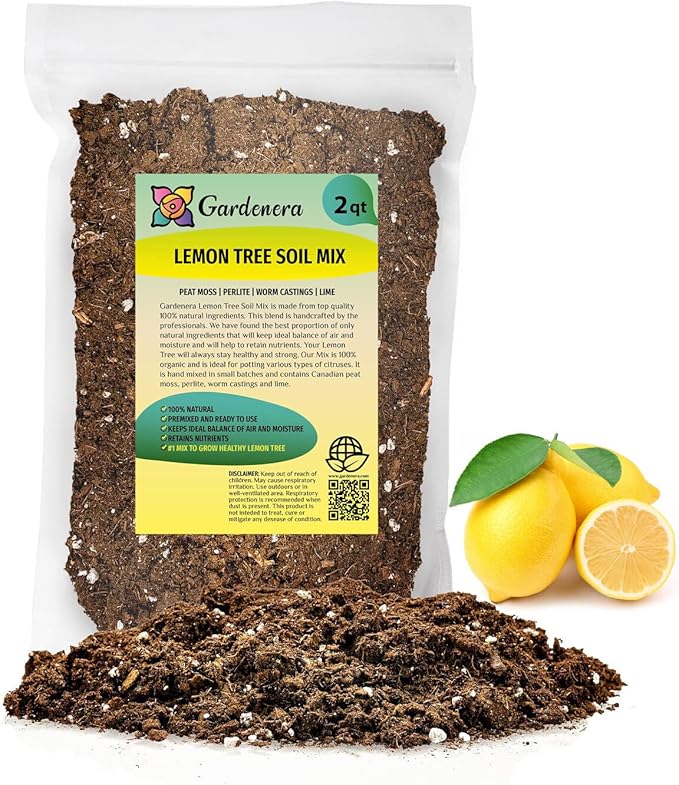LEMON TREE