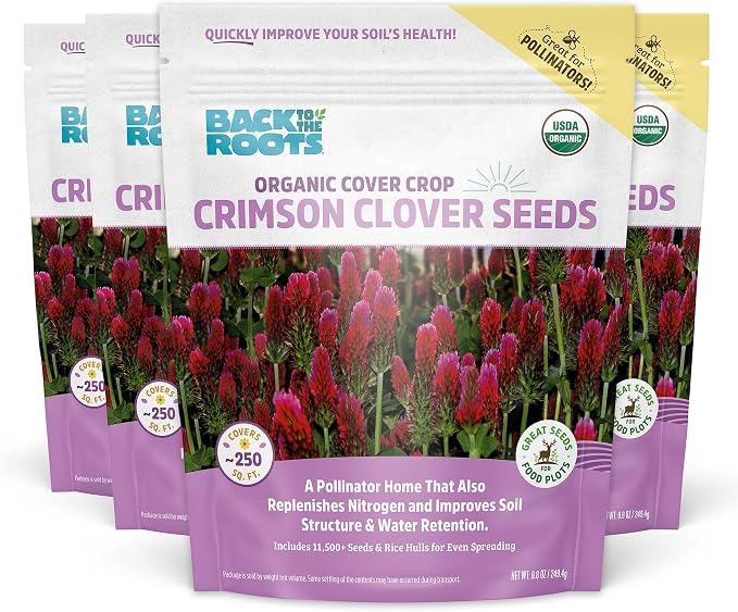 Crimson Clover