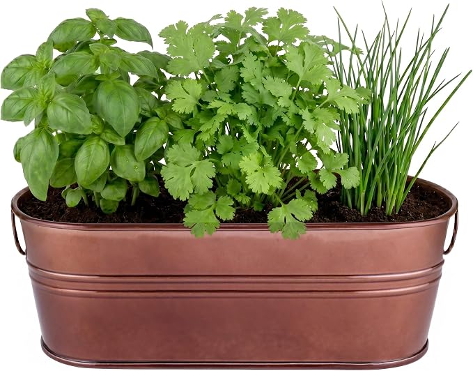 Culinary Garden
