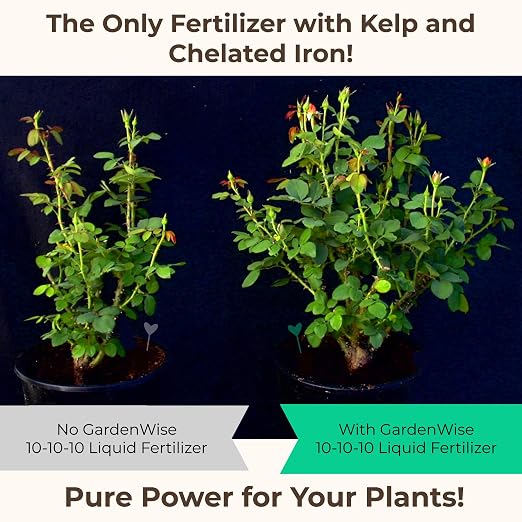 10-10-10 Liquid Fertilizer