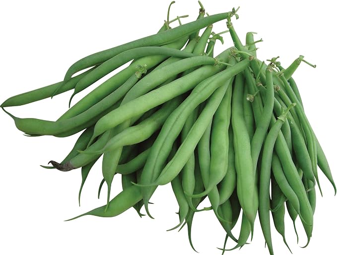 Stringless Green Pod