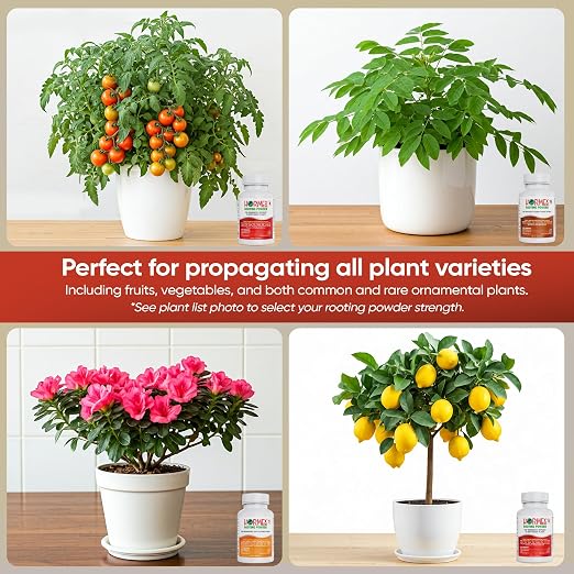 G) #3,8,16: Common Houseplants to Hardwood