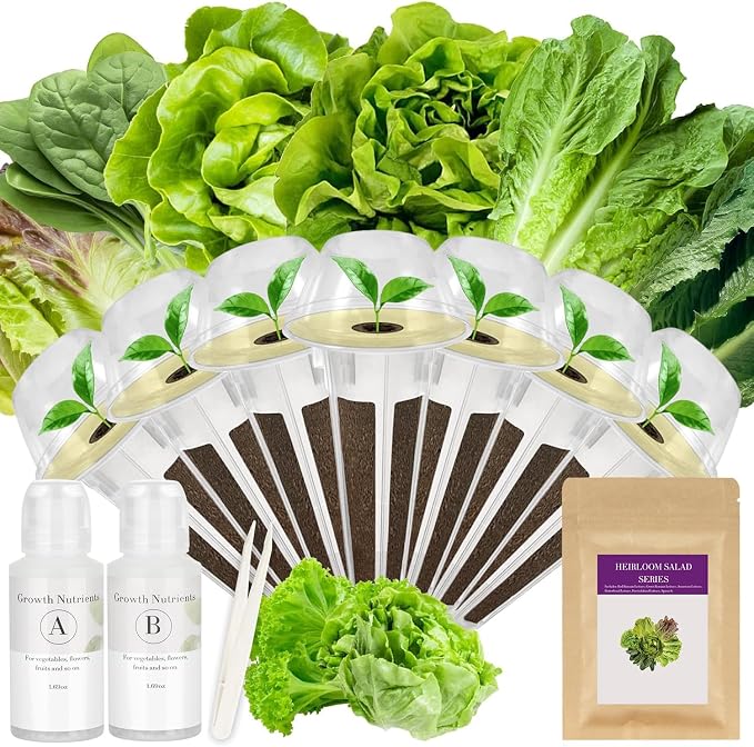 salad greens
