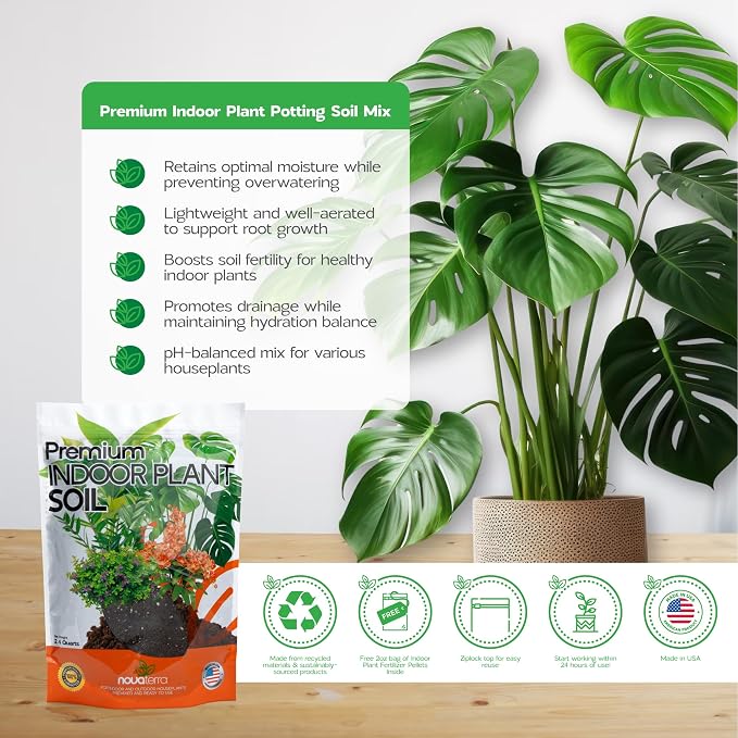 Indoor Plant Soil