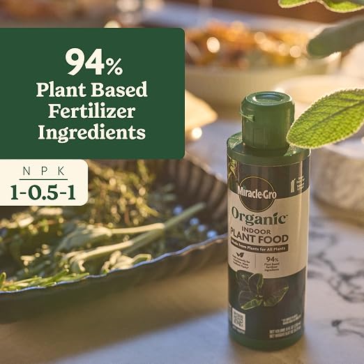 Organic Houseplant