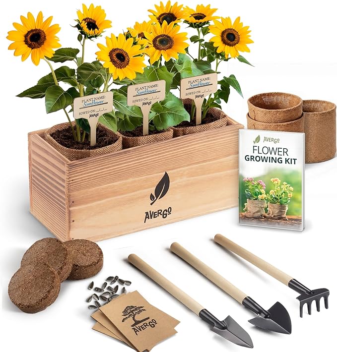 Sunflower Yellow