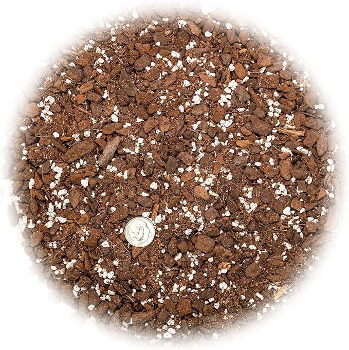 Swiss Cheese Plant Potting Mix