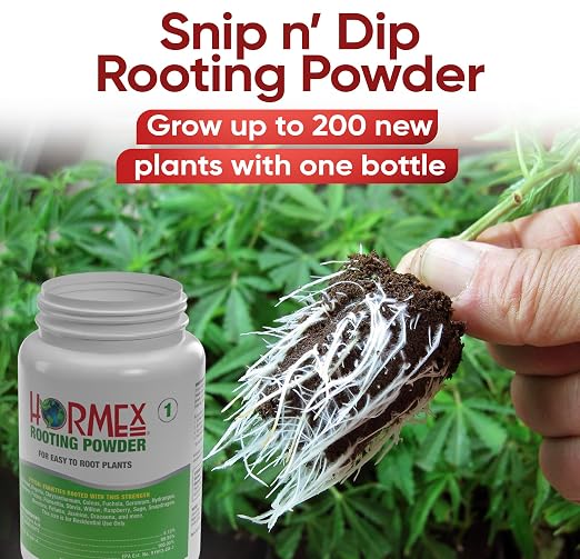 A) #1 For Delicate Easy to Root Plants